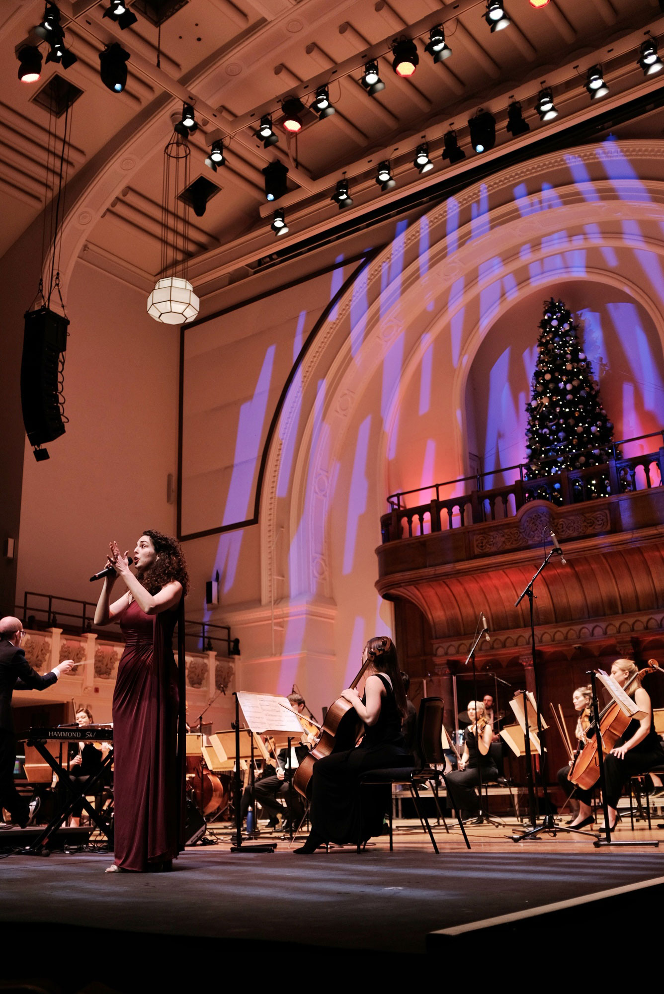 The Down for the Count Concert Orchestra