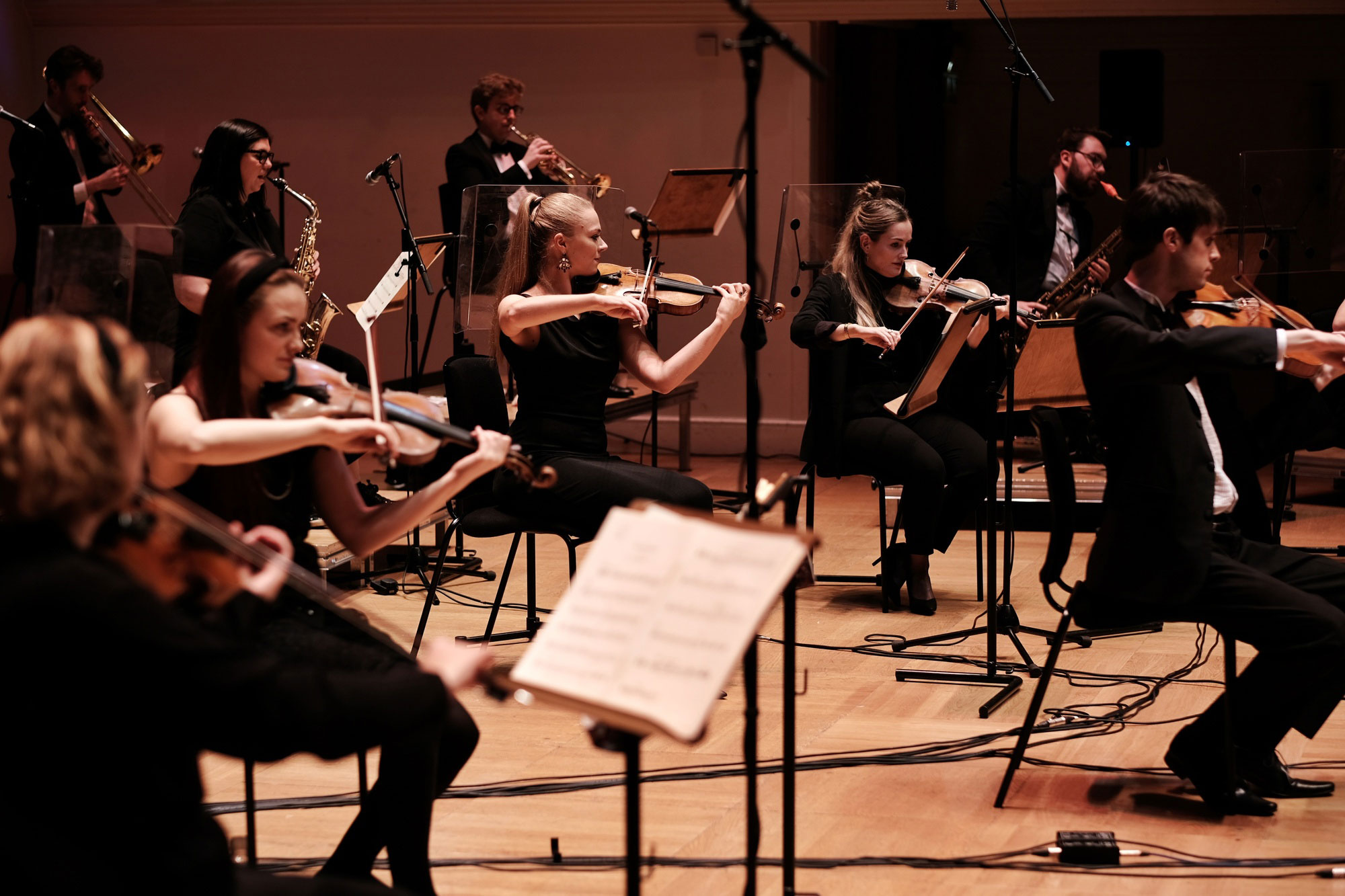 The Down for the Count Concert Orchestra