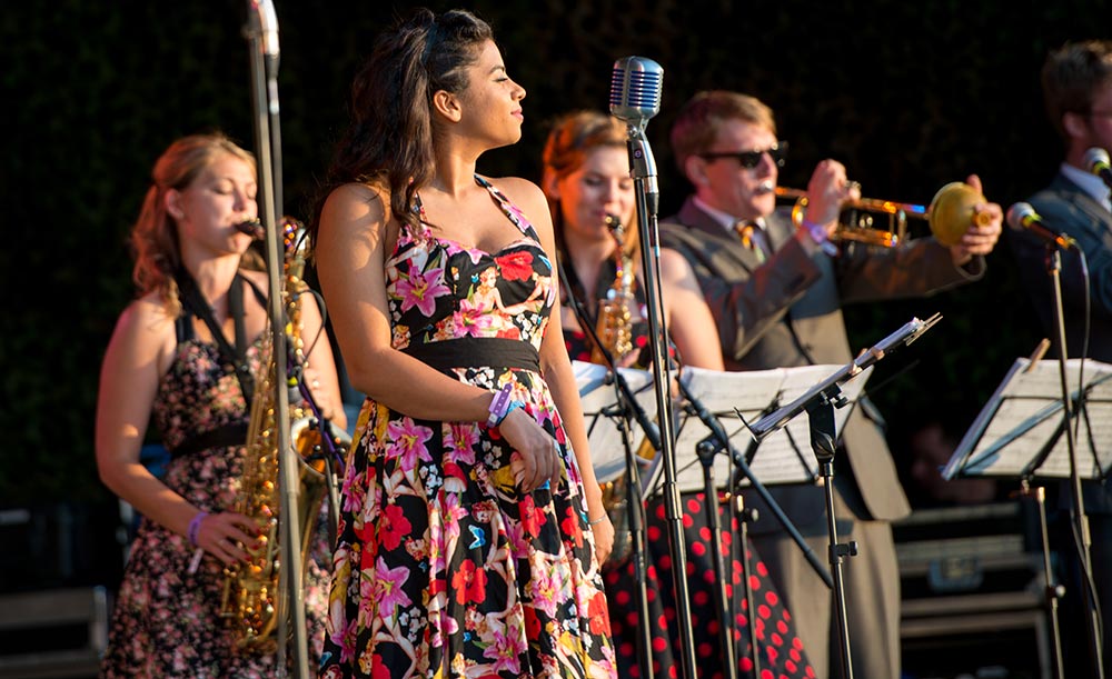 Down for the Count All-Stars performing at Twinwood Festival in 2013